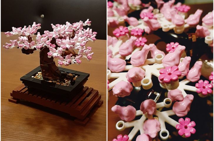 Illustration de l'article : 18 people who were overjoyed by a stroke of good luck