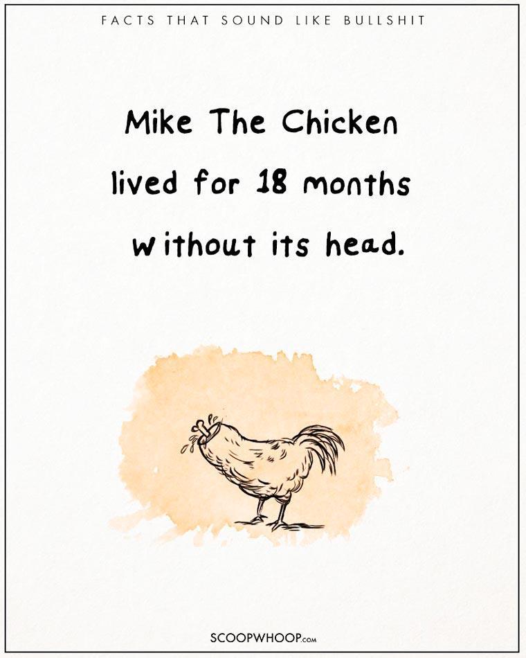 Illustration de l'article : 22 crazy but totally true facts illustrated with drawings!