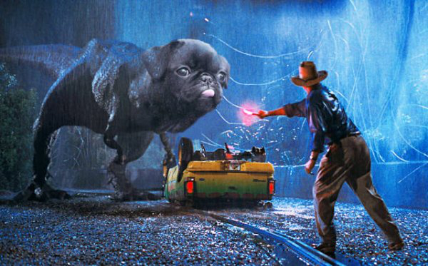 Illustration de l'article :  30 Photoshop fails! Which one is the funniest?