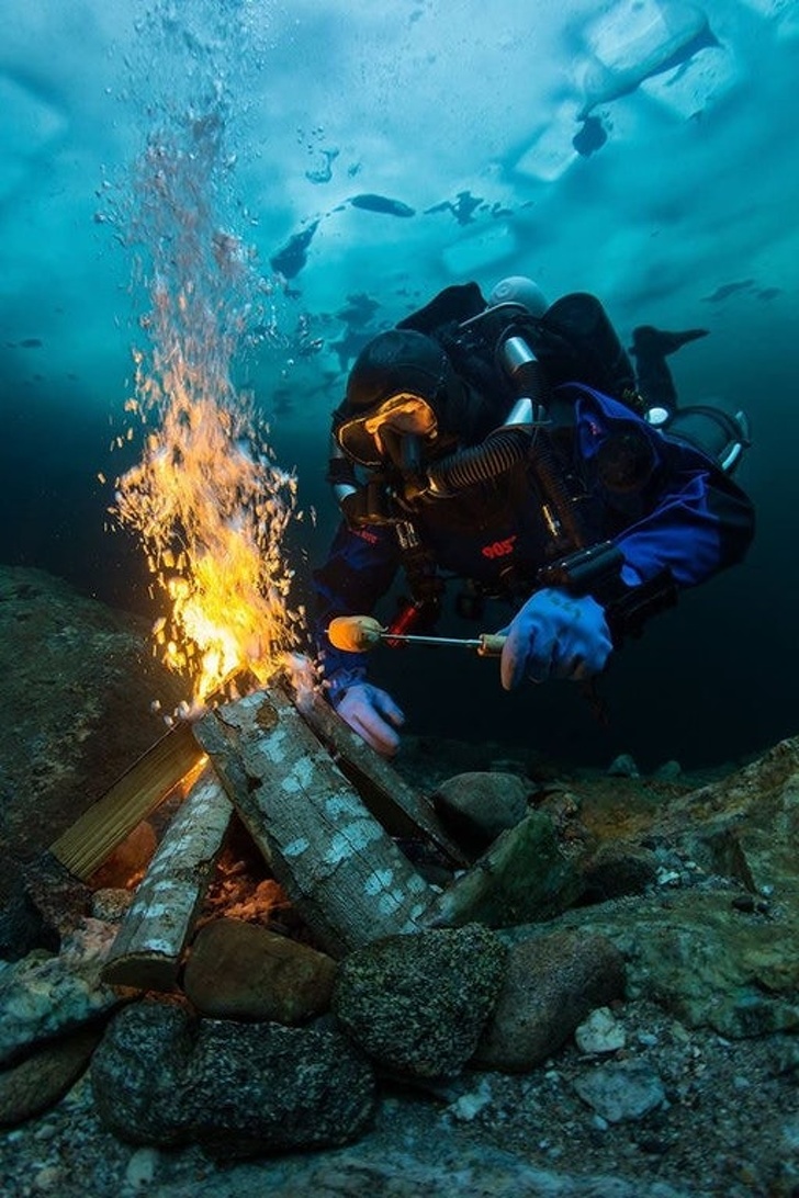 Illustration de l'article : 23 people who acted silly