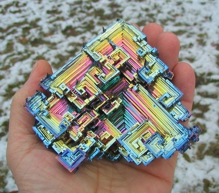 Illustration de l'article : 21 photos that prove we live in a weird and wonderful world!
