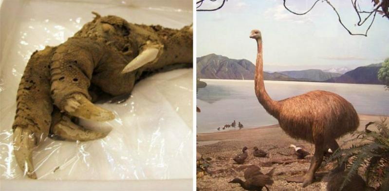 Illustration de l'article : 10 discoveries that can’t even be explained by science! Which ones are the most unbelievable?