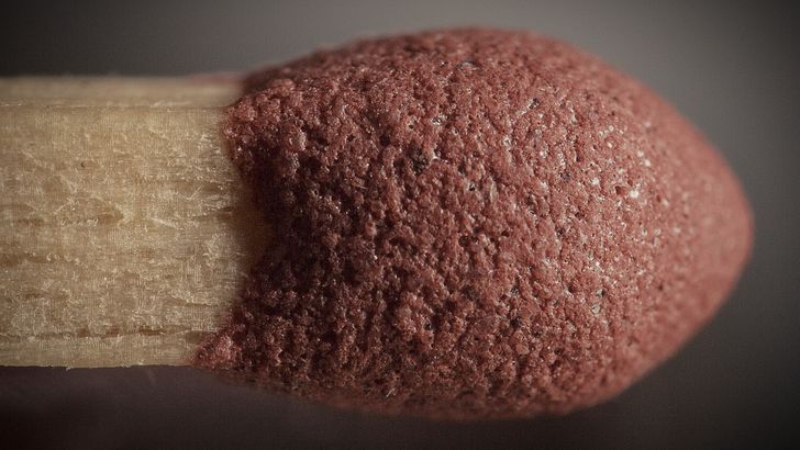 Illustration de l'article : 16 fascinating microscope photos that show off mesmerizing details 