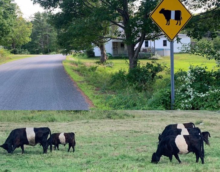 Illustration de l'article : 20 people who love to use their sense of humor