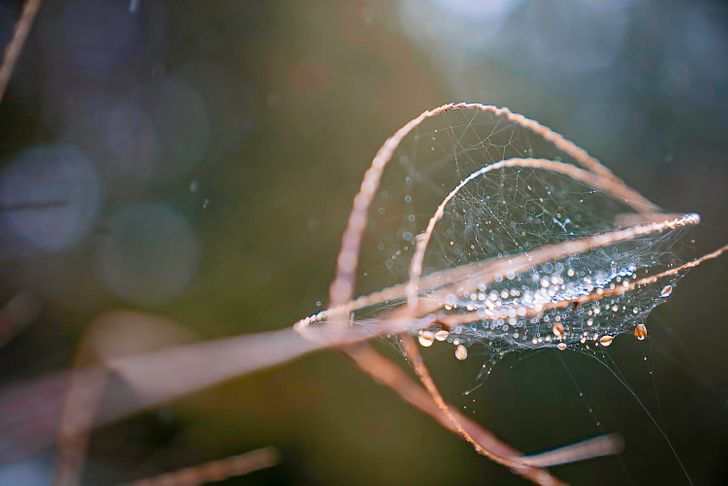 Illustration de l'article : 17 times Mother Nature showed off her works of art