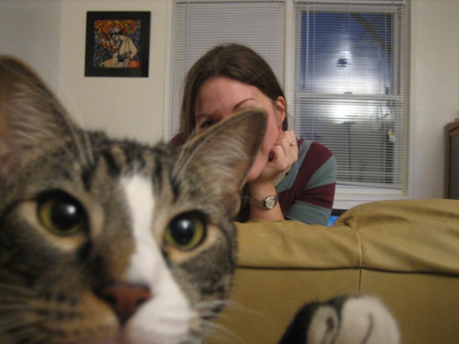 Illustration de l'article : 25 of the funniest photobombs you'll see this year!