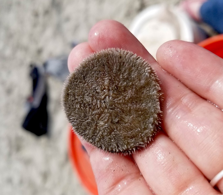 Illustration de l'article : Check out these 21 strange discoveries that deserve a closer look
