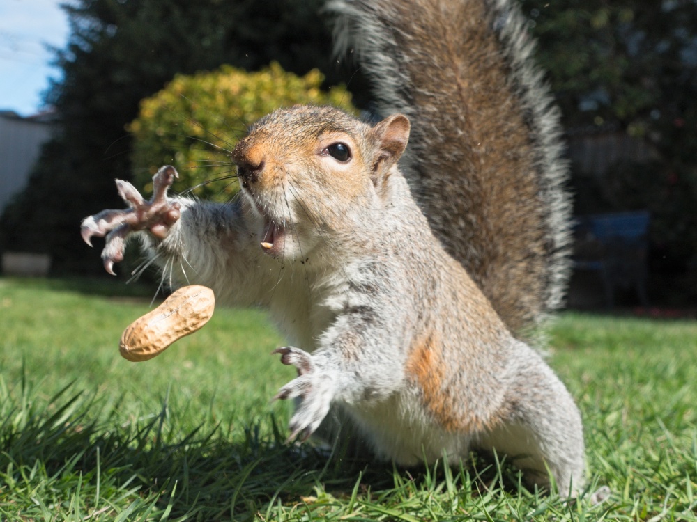 Illustration de l'article : 21 unlikely photos taken just before a catastrophe!