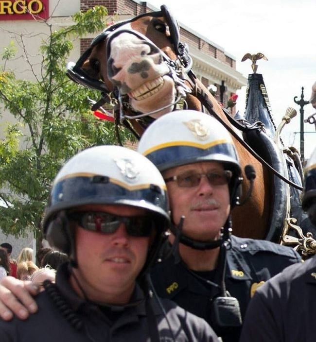 Illustration de l'article : 22 photobombs that took the internet by storm