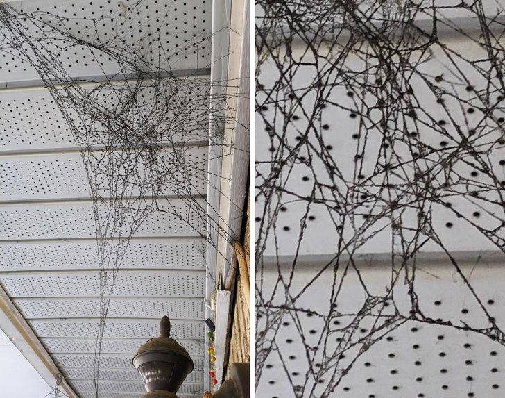 Illustration de l'article : 20 photos of interesting and amazing natural phenomena