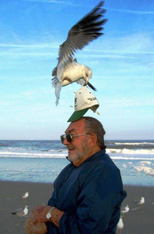 Illustration de l'article : 32 awesome perfectly-timed photos