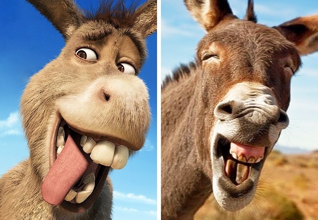 Illustration de l'article : 14 animals that are the exact copies of our favorite cartoon characters