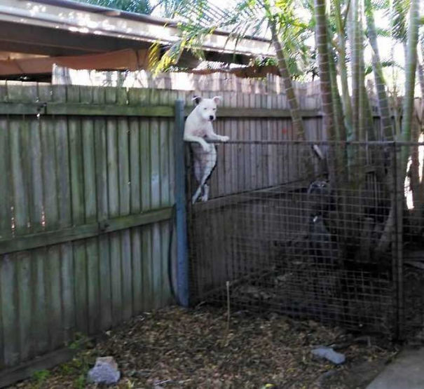 Illustration de l'article : 30 residents who decided to spice up their neighborhood