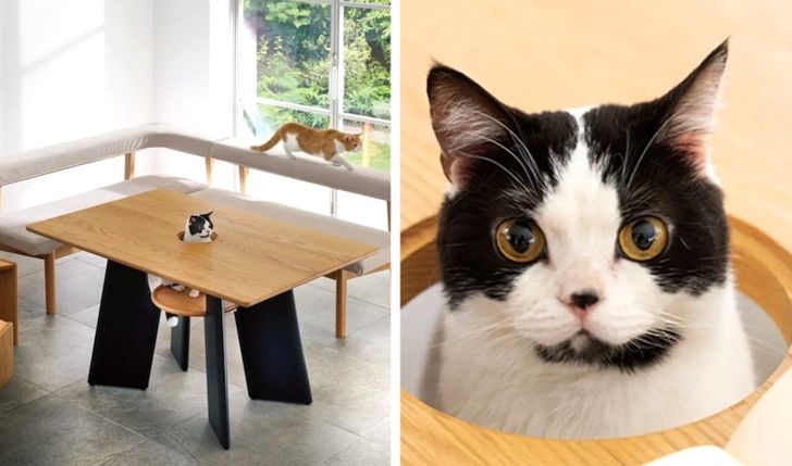 Illustration de l'article : 15 photos of genius designs that are taking the internet by storm