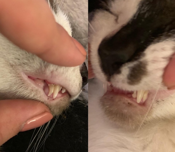 19 exceptional shots captured by people and shared with everyone