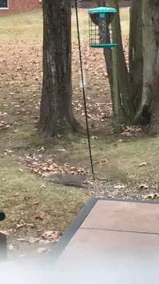 Illustration de l'article : 20 cool life hacks that will make your life a whole lot easier