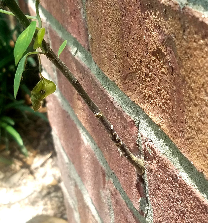 Illustration de l'article : 27 unexpected discoveries found by chance