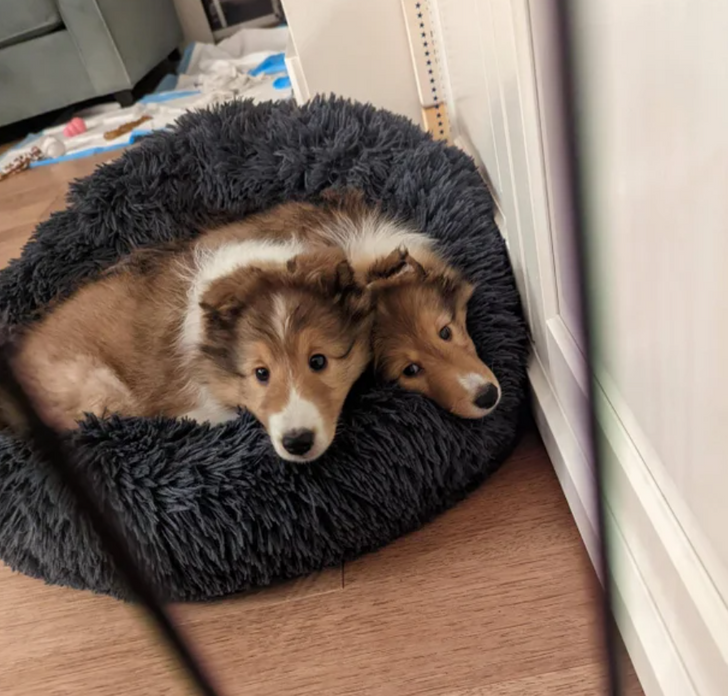 Illustration de l'article : 16 photos that will totally mess with your brain