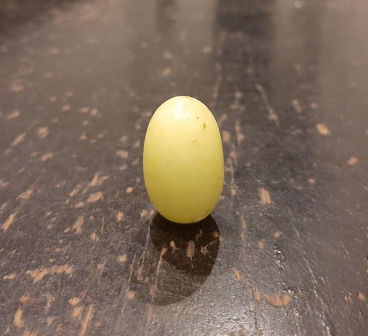 Illustration de l'article : 19 cool coincidences caught on camera