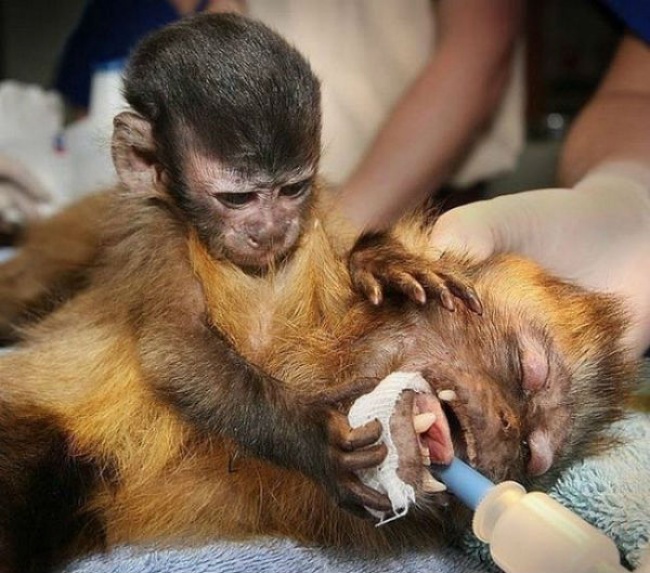 Illustration de l'article : 17 moving photos that will touch your heart