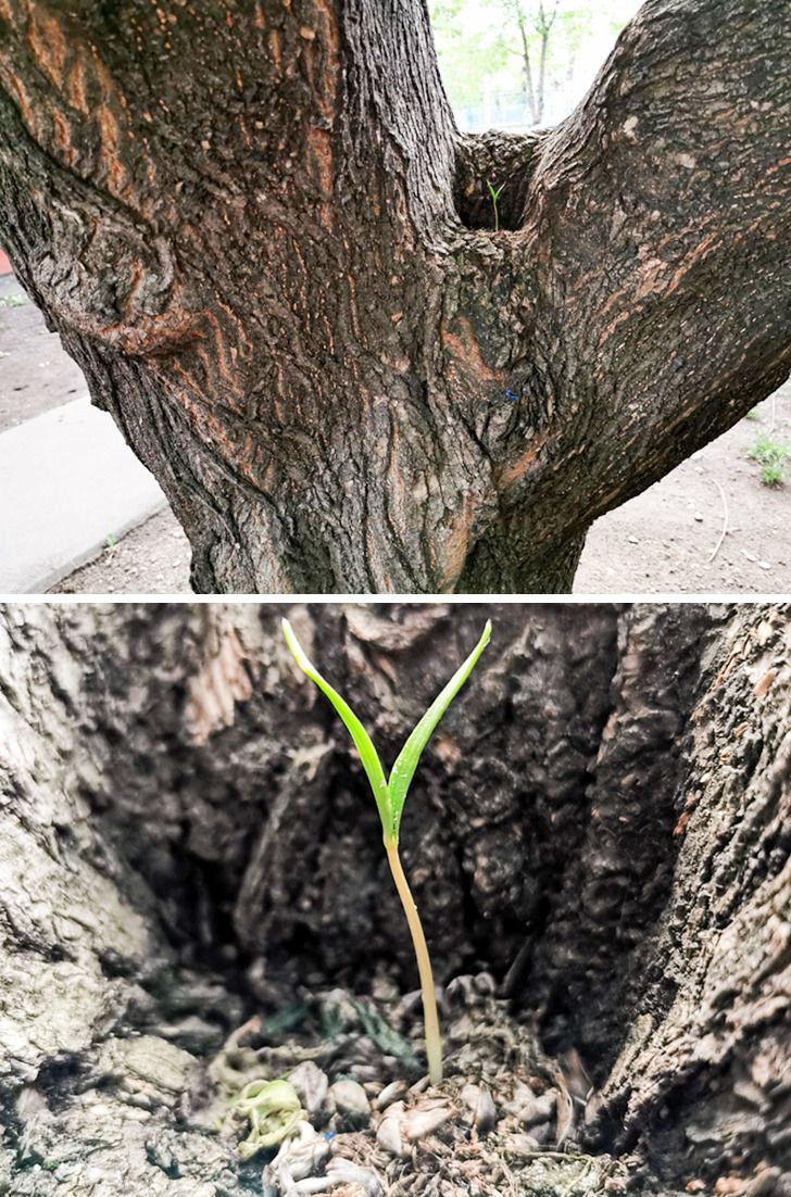 Illustration de l'article : 14 photos that illustrate the power of Mother Nature