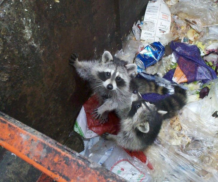 Illustration de l'article : 20 fascinating photos that provide an insight into different professions