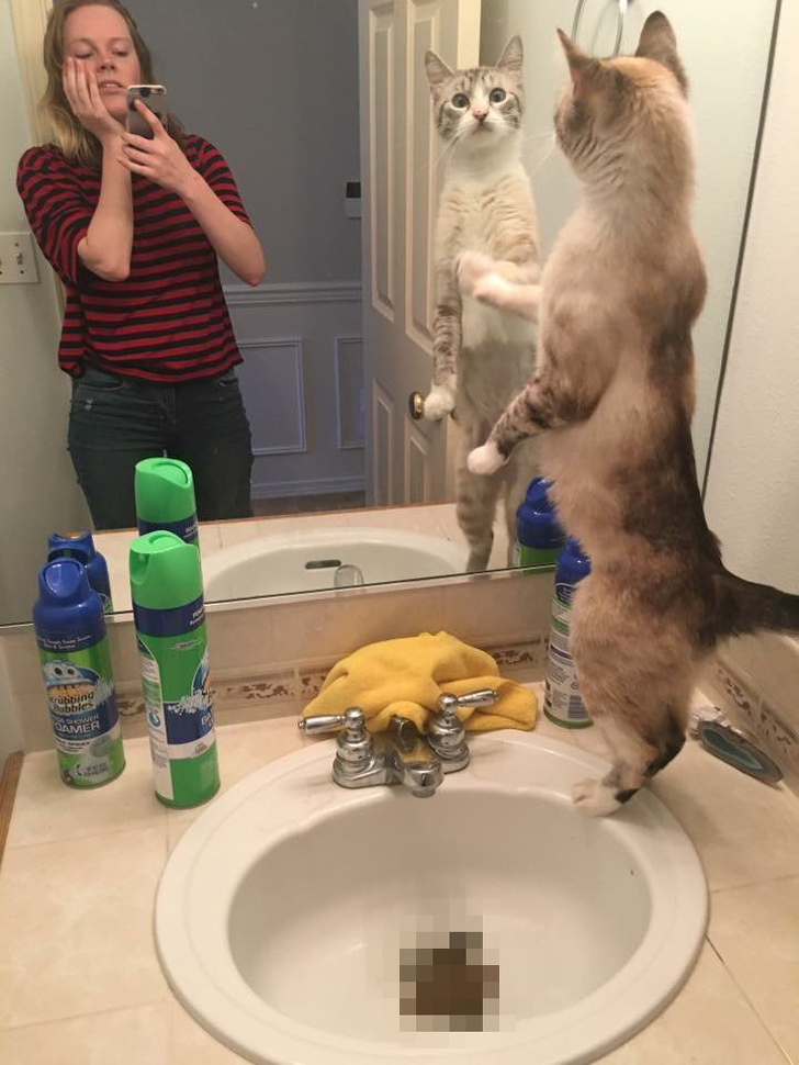 Illustration de l'article : 17 mornings that announced the start to a complicated day