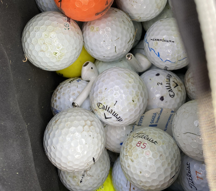 Illustration de l'article : 20 people who snapped and shared a moment of happiness