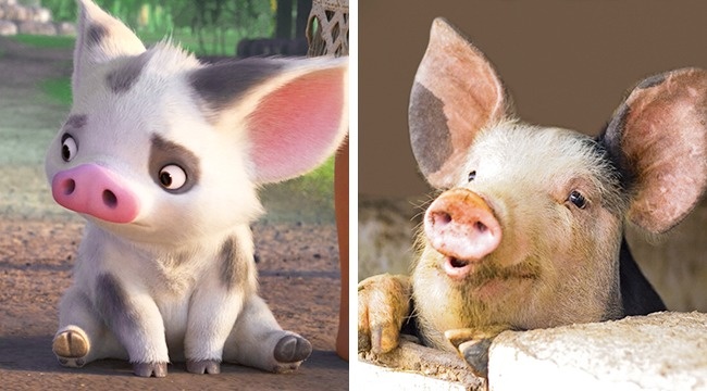 Illustration de l'article : 14 animals that are the exact copies of our favorite cartoon characters