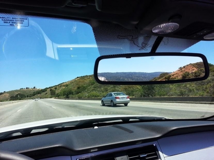 Illustration de l'article : 32 perfect examples of accidental camouflage