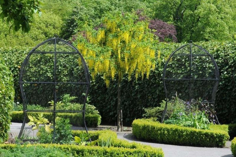 Illustration de l'article : 15 photos of the world's most dangerous garden
