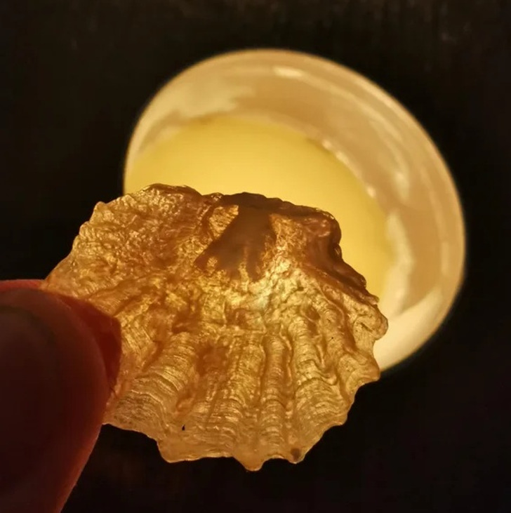 Illustration de l'article : 19 photos of everyday things that will bring a smile to your face