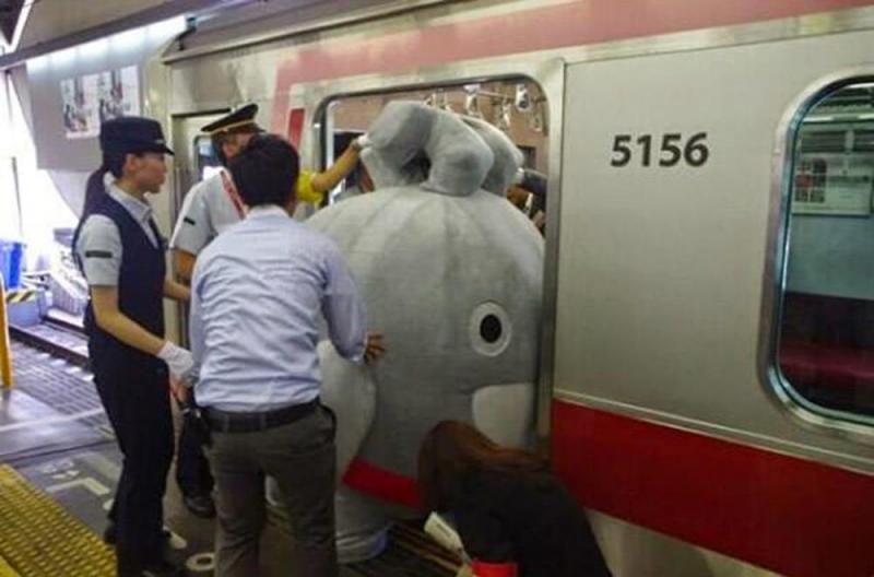 Illustration de l'article : 23 totally crazy photos taken in the subway!