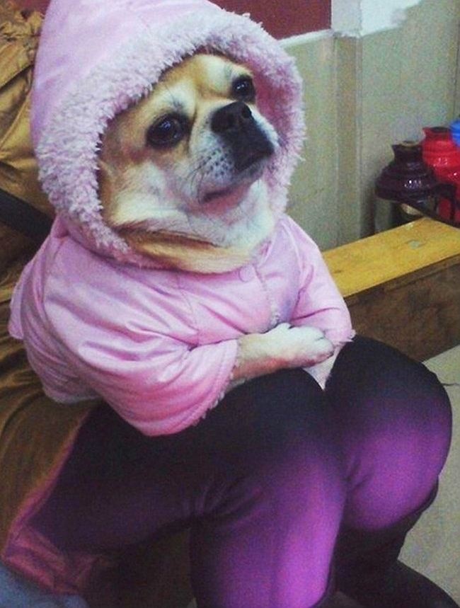 Illustration de l'article : 16 freaky photos guaranteed to blow your mind