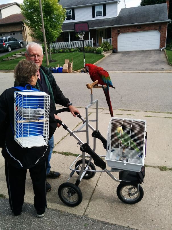 Illustration de l'article : 30 residents who decided to spice up their neighborhood