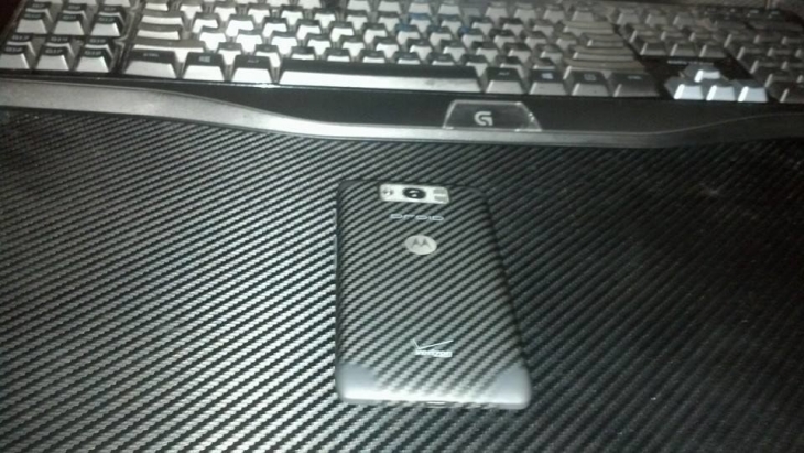 Illustration de l'article : 32 perfect examples of accidental camouflage