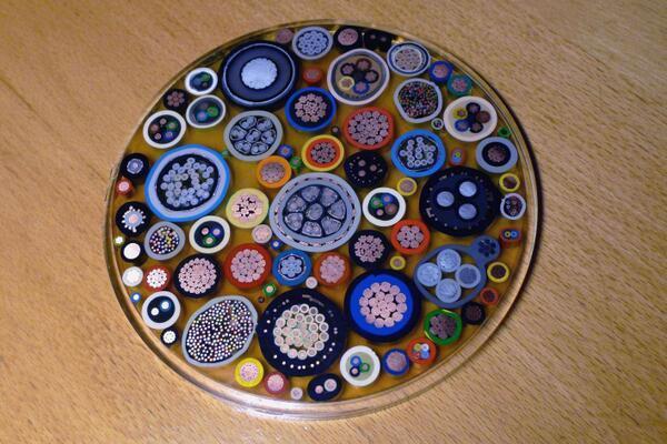Illustration de l'article : 17 objects that have been cut in half revealing their secrets!