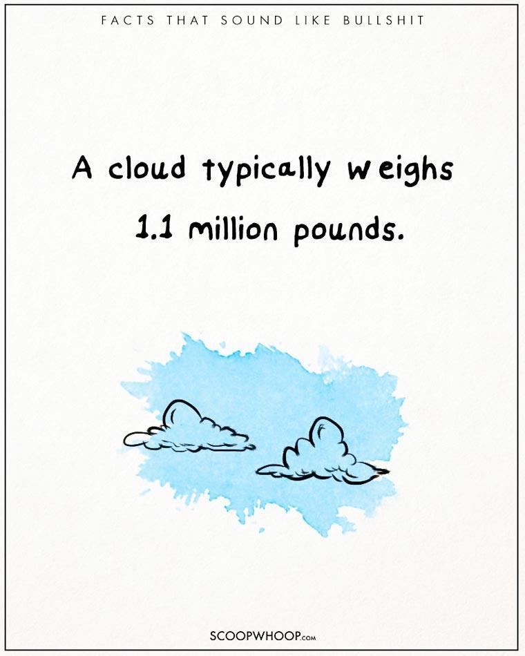 Illustration de l'article : 22 crazy but totally true facts illustrated with drawings!