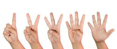 Illustration de l'article : 14 situations that only night owls can understand!