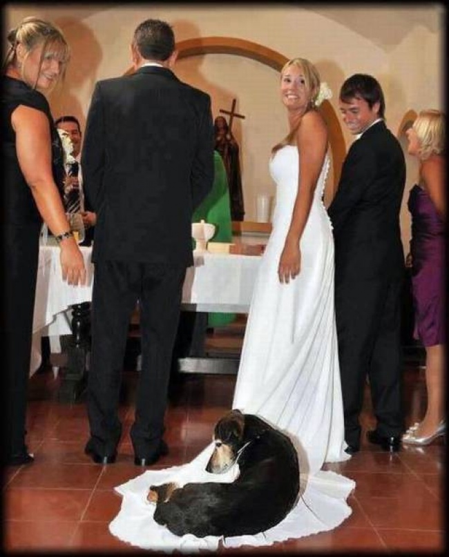 Illustration de l'article : 18 newlyweds who got creative and took some awesome photos