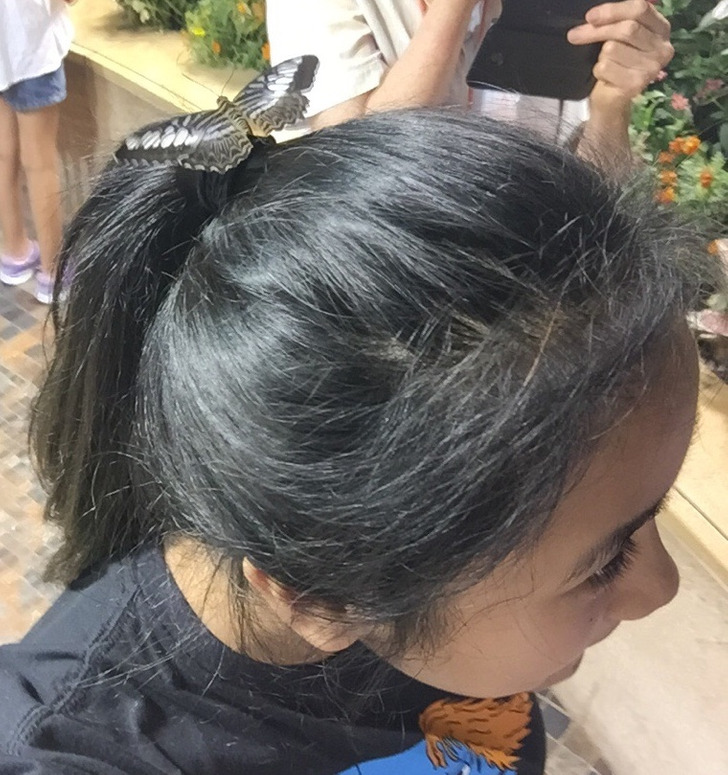 Illustration de l'article : 20 people who snapped and shared a moment of happiness