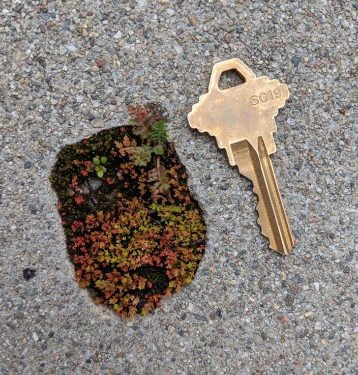 Illustration de l'article : 14 photos that illustrate the power of Mother Nature