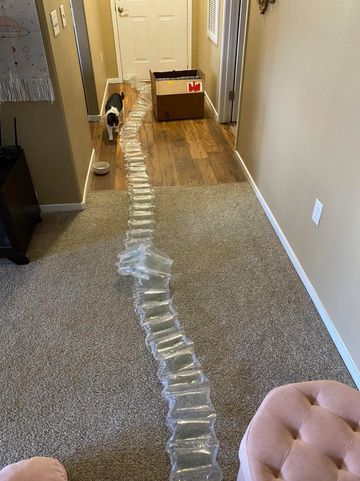 Illustration de l'article : 18 photos of excessive and pointless packaging