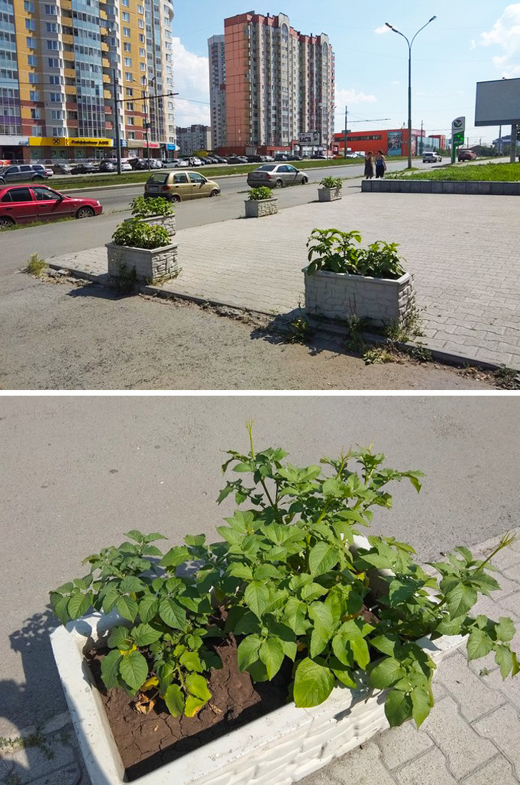 Illustration de l'article : 15 people who managed to photograph and share their prank