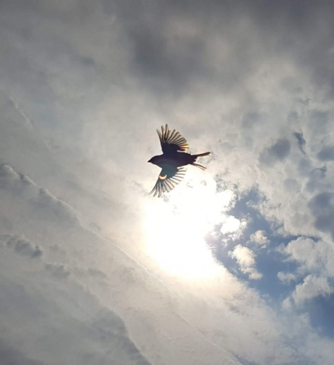 Illustration de l'article : 32 awesome perfectly-timed photos