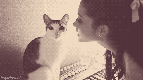 Illustration de l'article : 18 problems that anyone who has a cat experiences everyday
