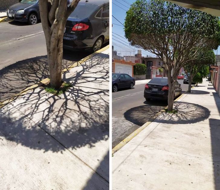 Illustration de l'article : 17 times Mother Nature showed off her works of art