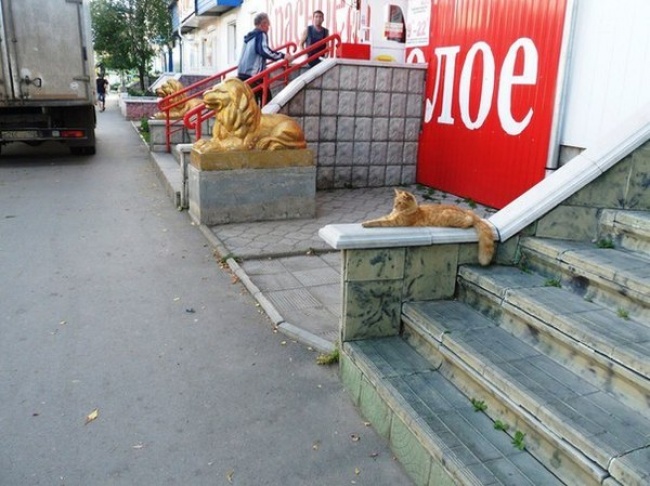 Illustration de l'article : 22 amazing coincidences captured in photos