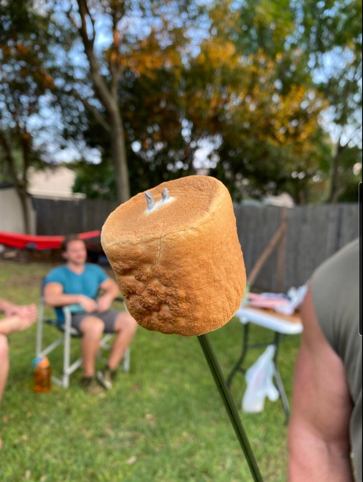 Illustration de l'article : 15 mesmerizing examples of near-perfection