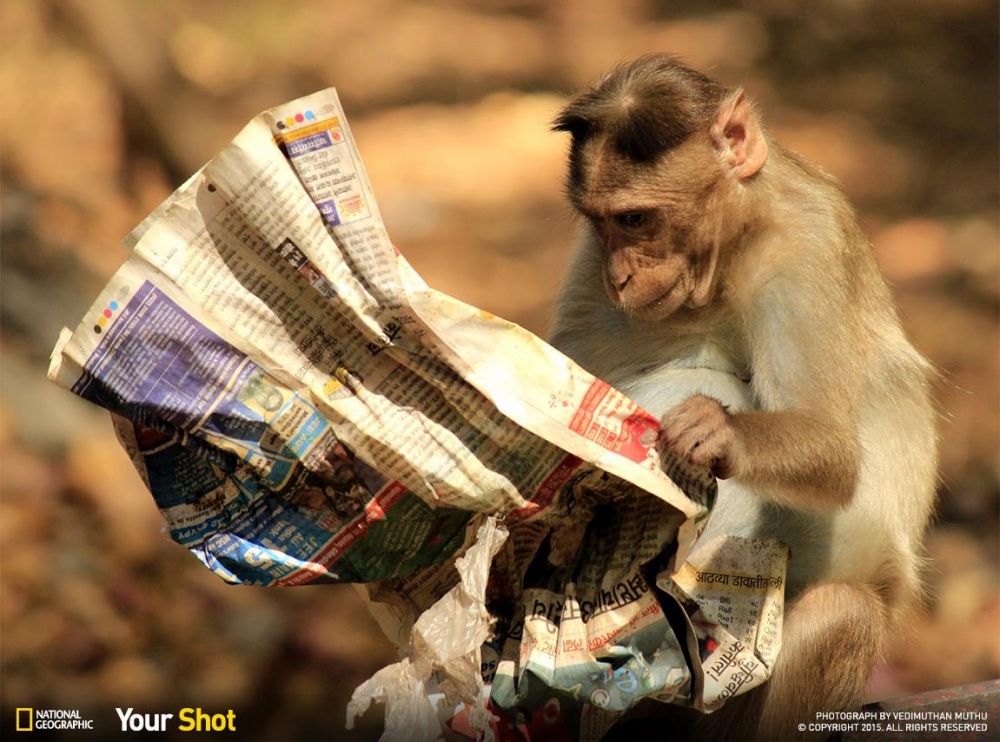 Illustration de l'article : 24 photos that will be hard to forget